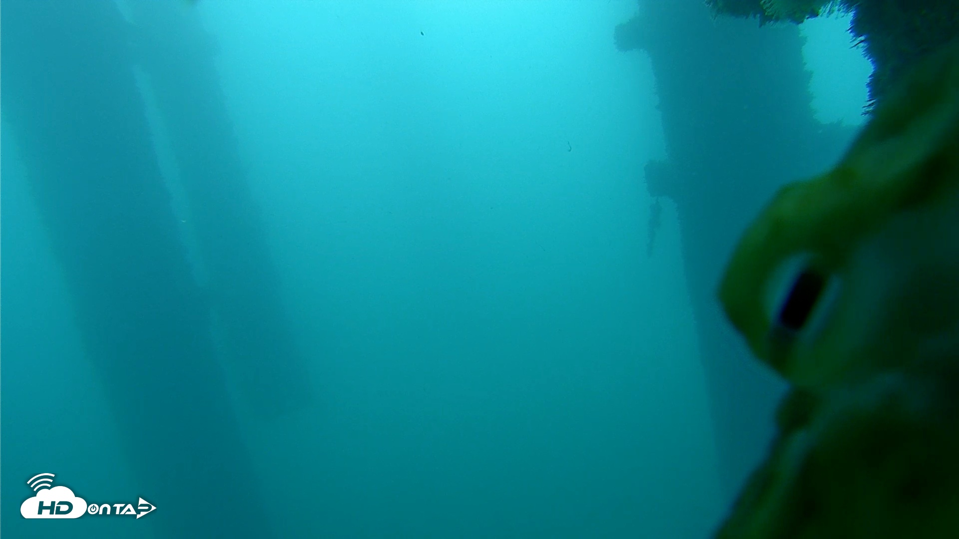 Snapshot of Scripps Pier Underwater Live Webcam taken Oct 13, 2026, 7:17am PDT