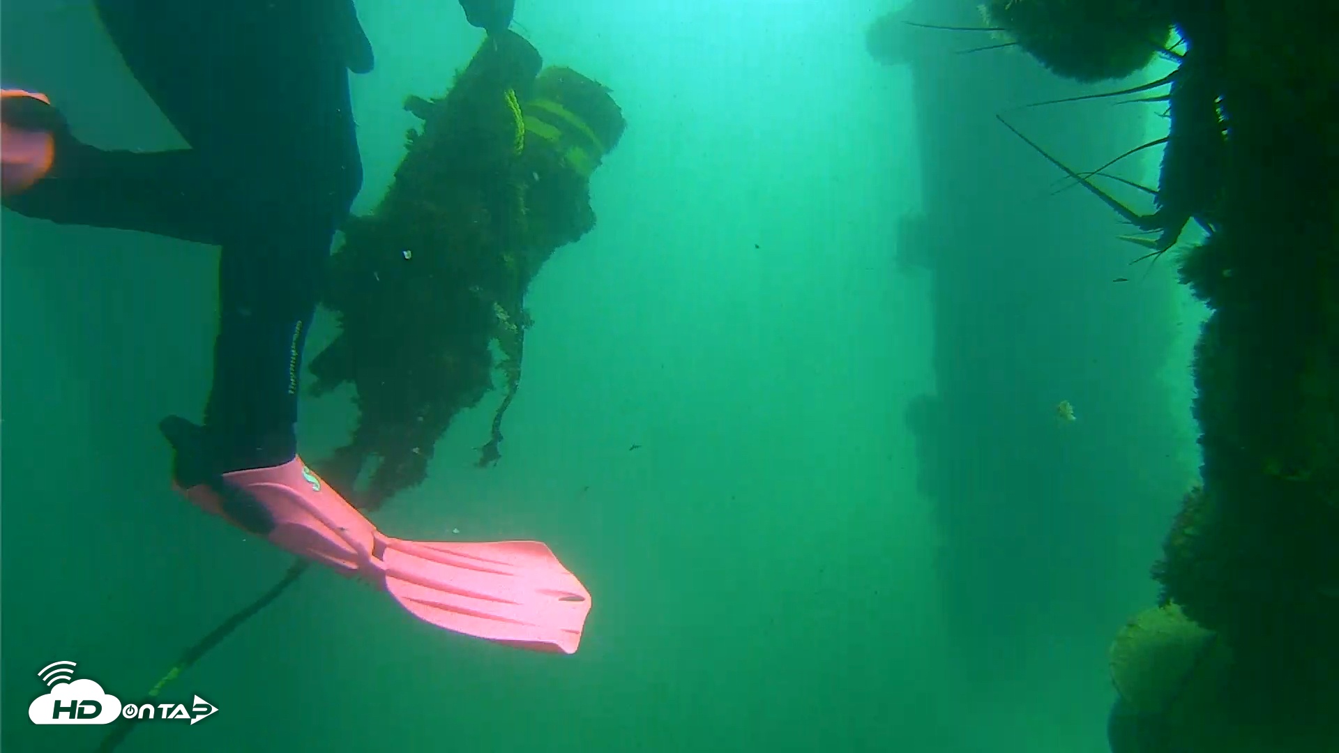 Snapshot of Scripps Pier Underwater Live Webcam taken Oct 20, 2025, 11:14am PDT