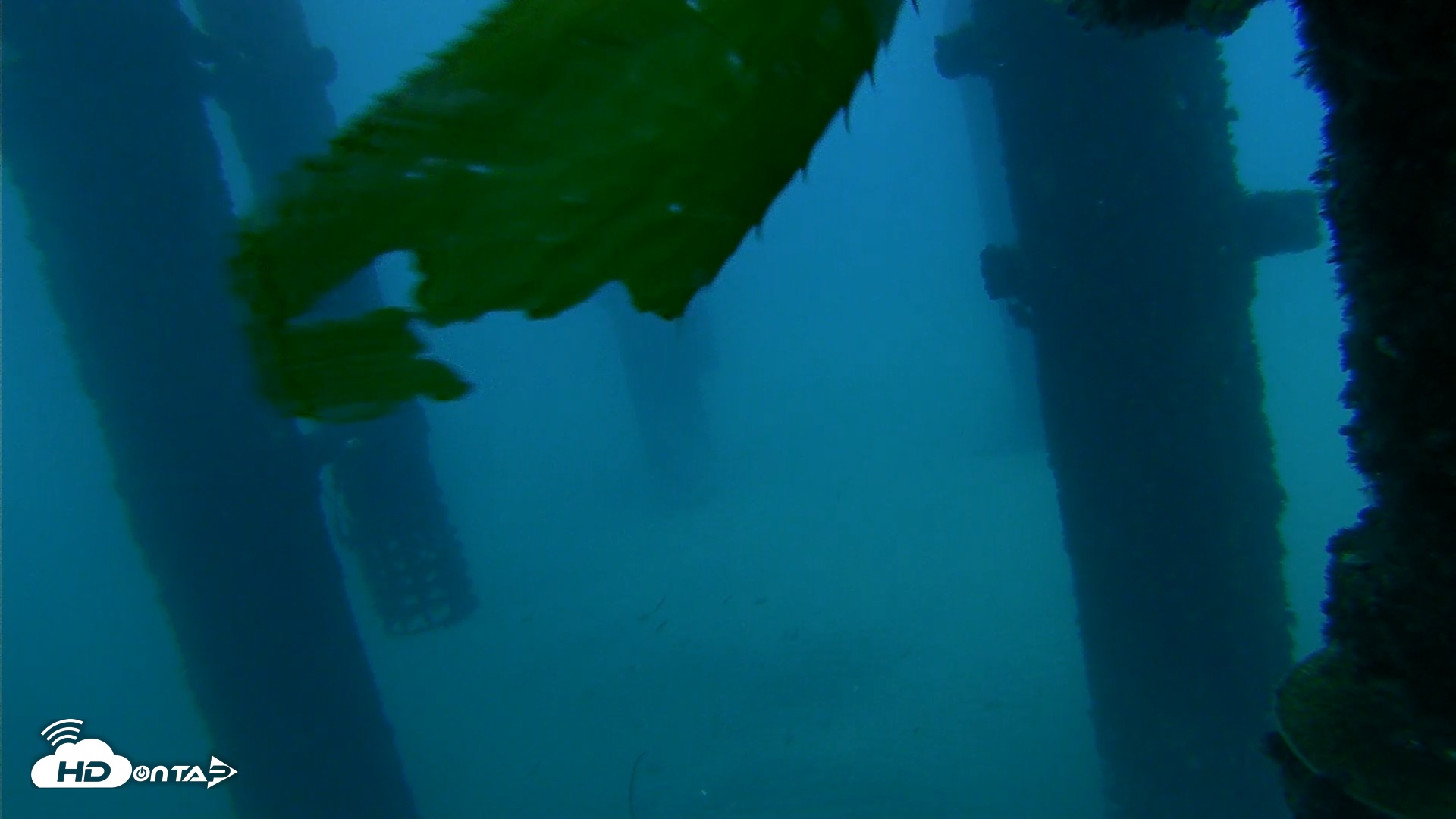 Snapshot of Scripps Pier Underwater Live Webcam taken Sep 30, 2026, 6:45am PDT