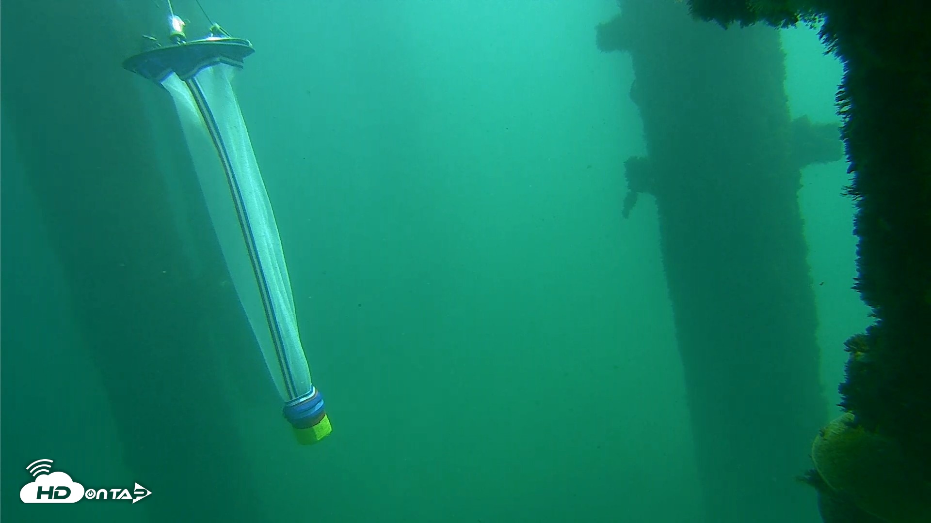Snapshot of Scripps Pier Underwater Live Webcam taken Oct 8, 2026, 12:16pm PDT