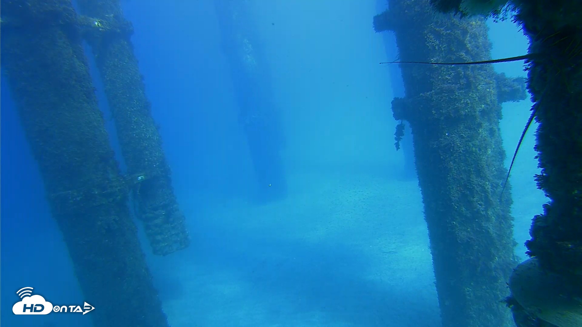 Snapshot of Scripps Pier Underwater Live Webcam taken Oct 16, 2026, 3:19pm PDT