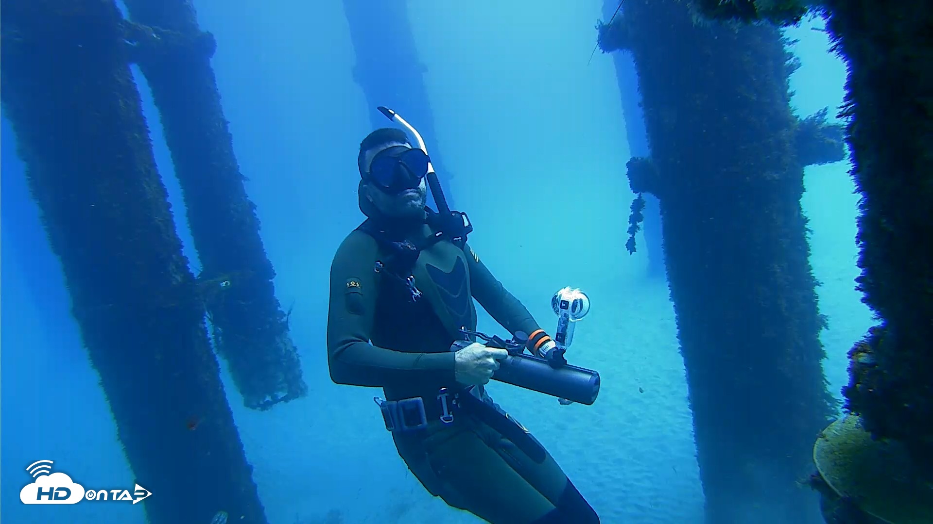 Snapshot of Scripps Pier Underwater Live Webcam taken Oct 7, 2026, 11:54am PDT