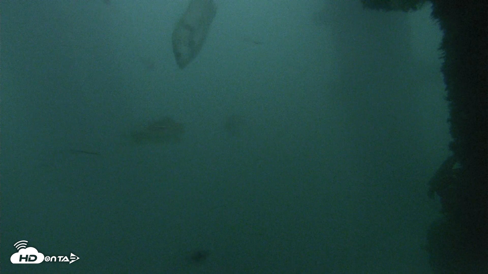 Snapshot of Scripps Pier Underwater Live Webcam taken Oct 12, 2026, 6:40am PDT