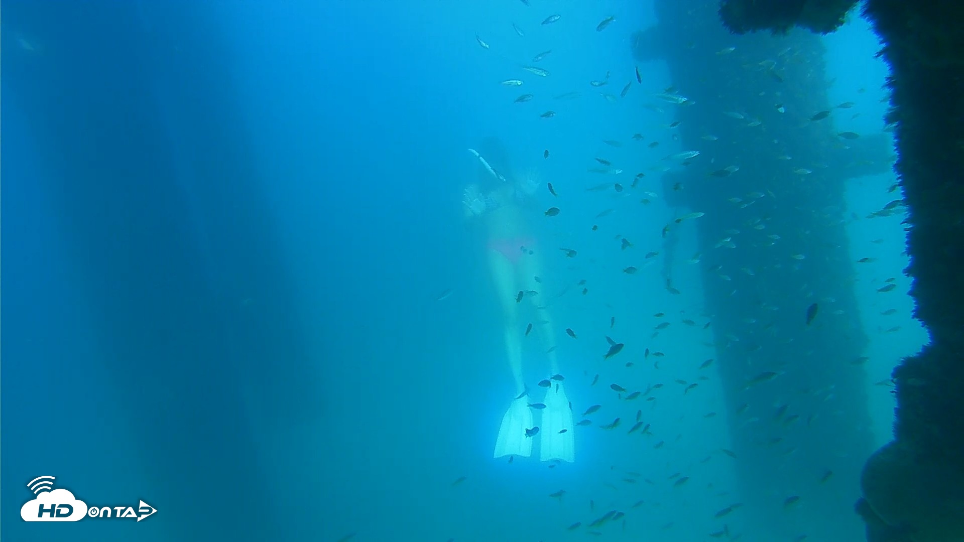 Snapshot of Scripps Pier Underwater Live Webcam taken Sep 16, 2026, 3:46pm PDT