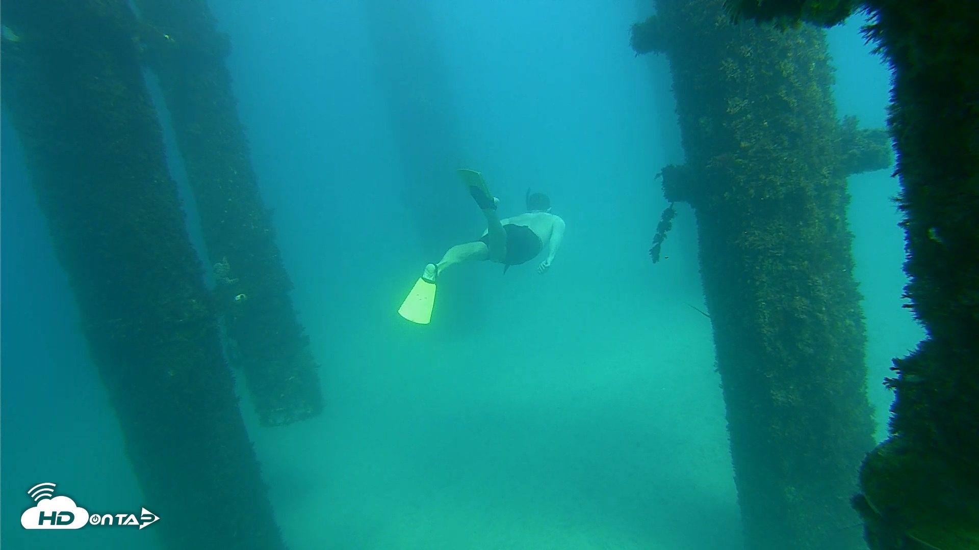 Snapshot of Scripps Pier Underwater Live Webcam taken Sep 24, 2026, 2:57pm PDT