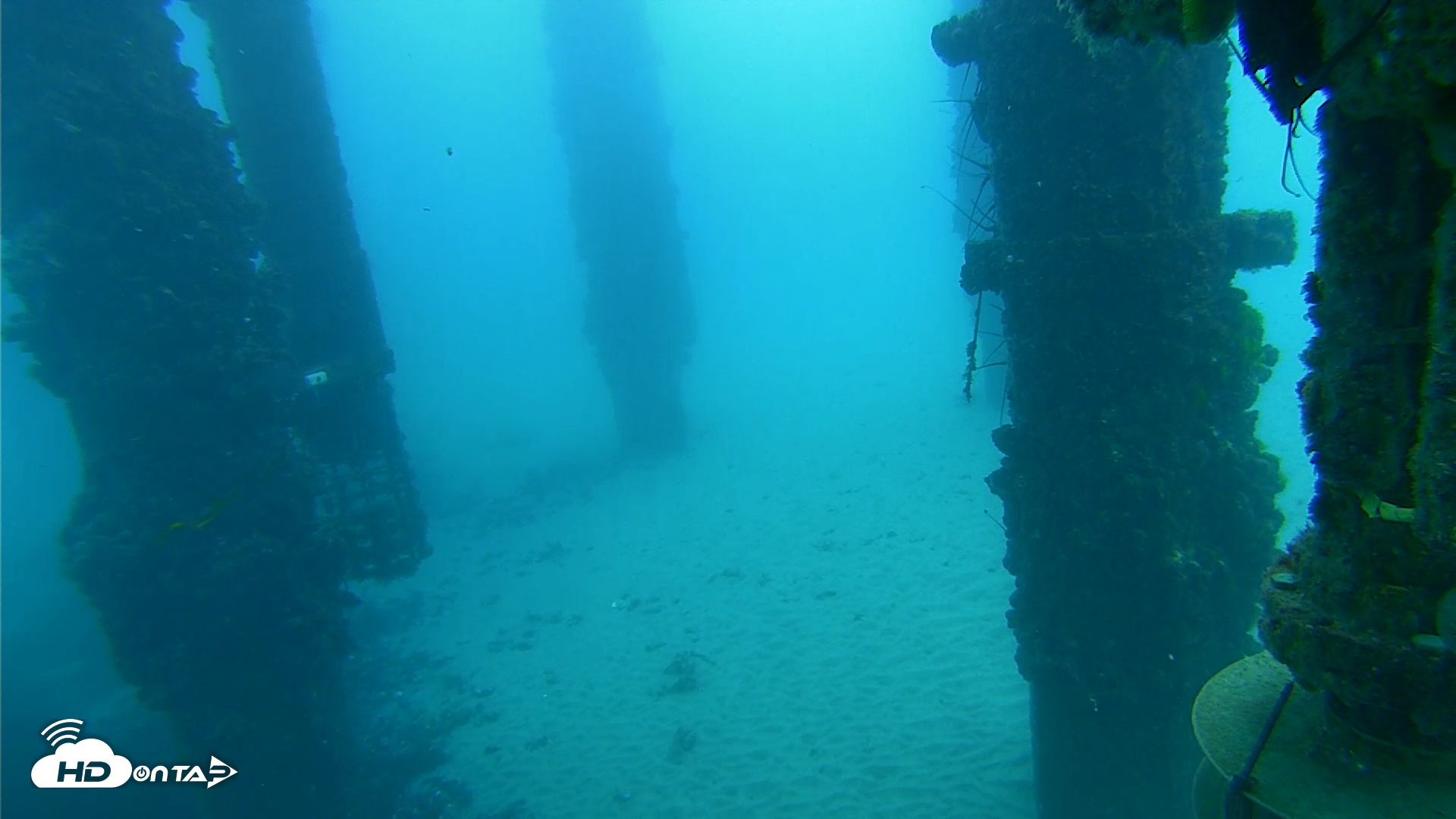 Snapshot of Scripps Pier Underwater Live Webcam taken Sep 6, 2025, 9:31am PDT