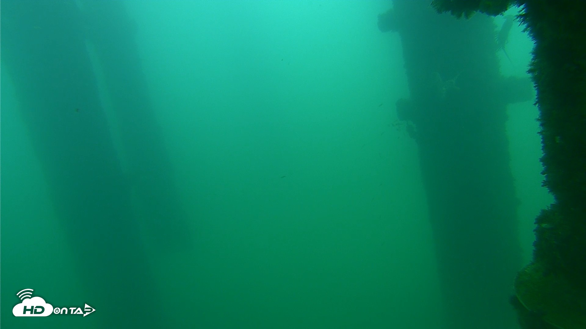 Snapshot of Scripps Pier Underwater Live Webcam taken Sep 24, 2026, 8:20am PDT