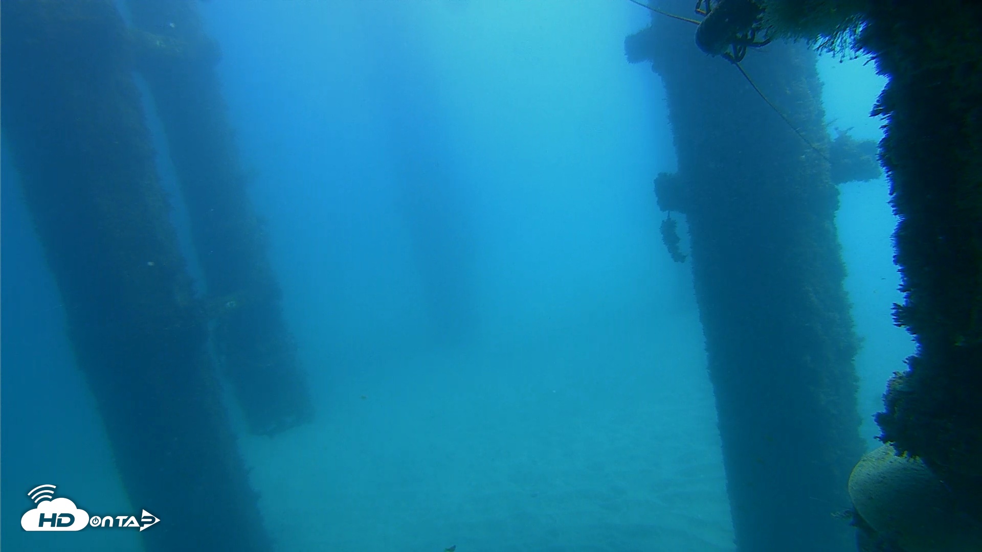 Snapshot of Scripps Pier Underwater Live Webcam taken Oct 21, 2026, 12:16pm PDT