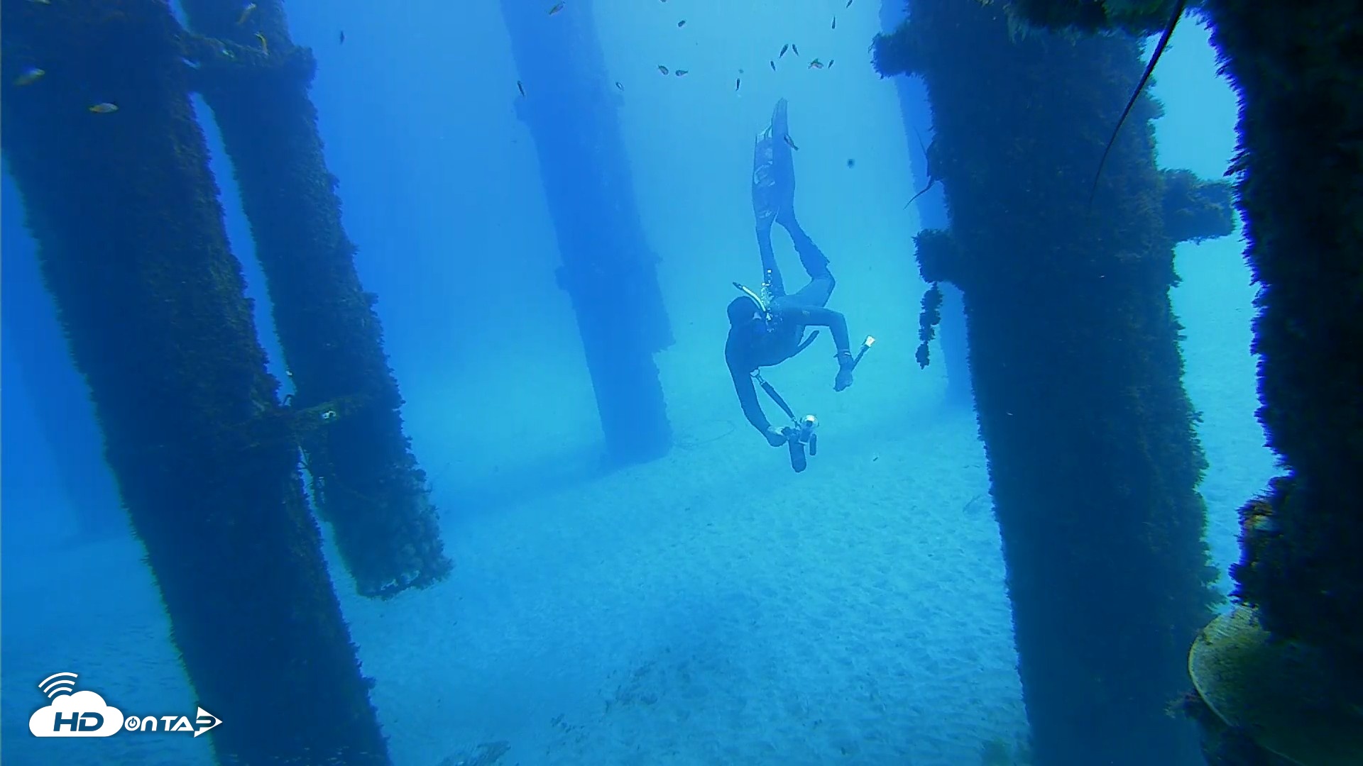 Snapshot of Scripps Pier Underwater Live Webcam taken Oct 7, 2026, 11:52am PDT