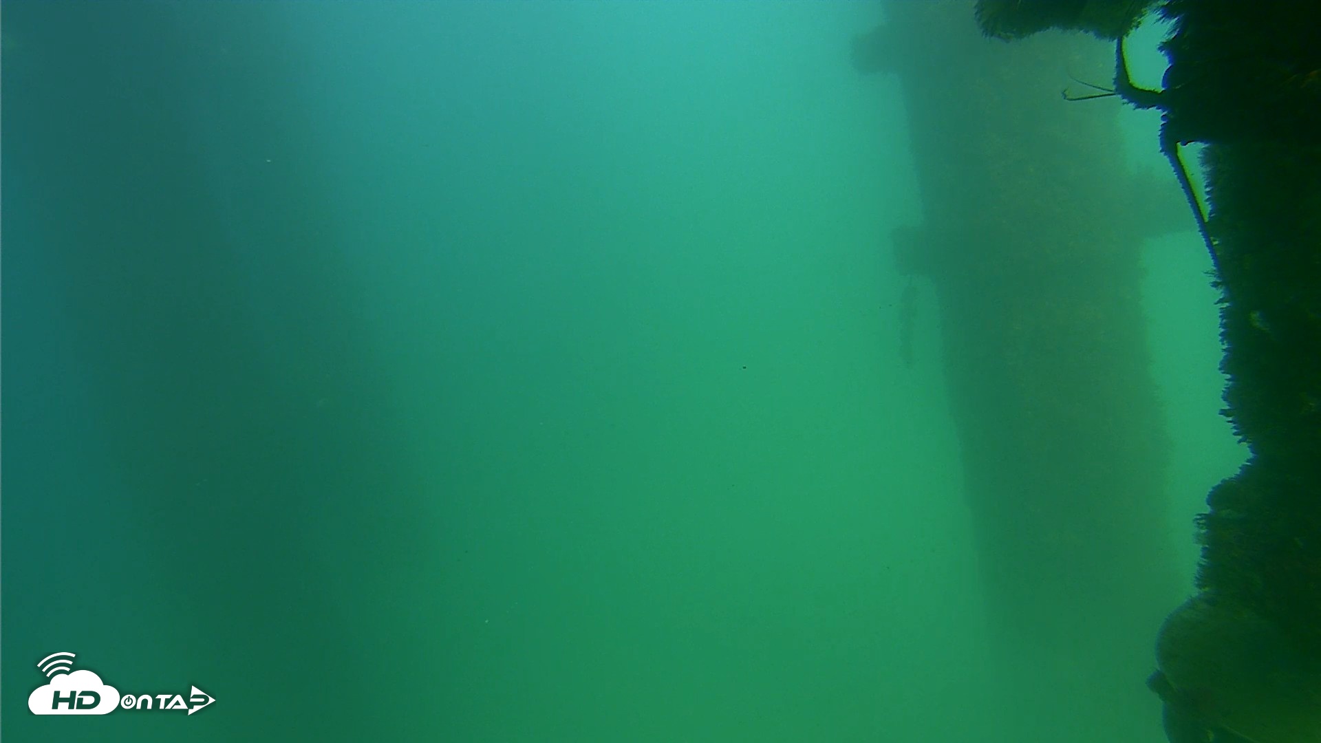 Snapshot of Scripps Pier Underwater Live Webcam taken Sep 18, 2026, 3:26pm PDT