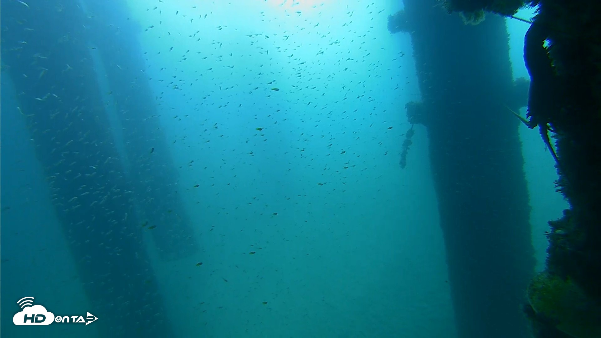 Snapshot of Scripps Pier Underwater Live Webcam taken Sep 25, 2026, 9:31am PDT