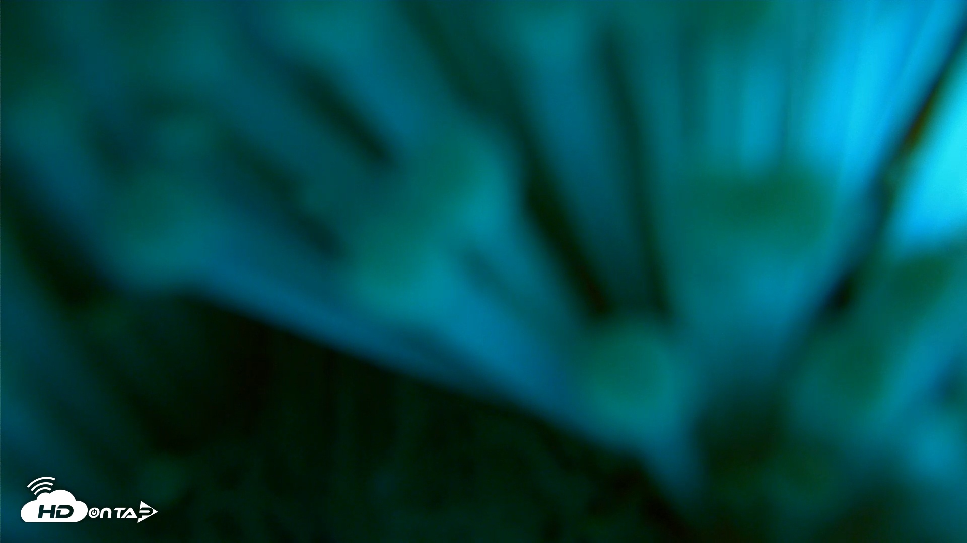 Snapshot of Scripps Pier Underwater Live Webcam taken Mar 22, 2026, 12:07pm PDT