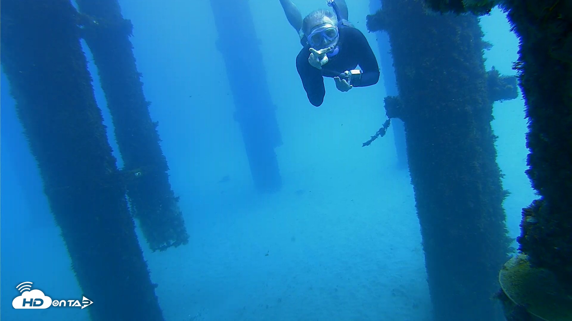 Snapshot of Scripps Pier Underwater Live Webcam taken Oct 7, 2026, 12:46pm PDT