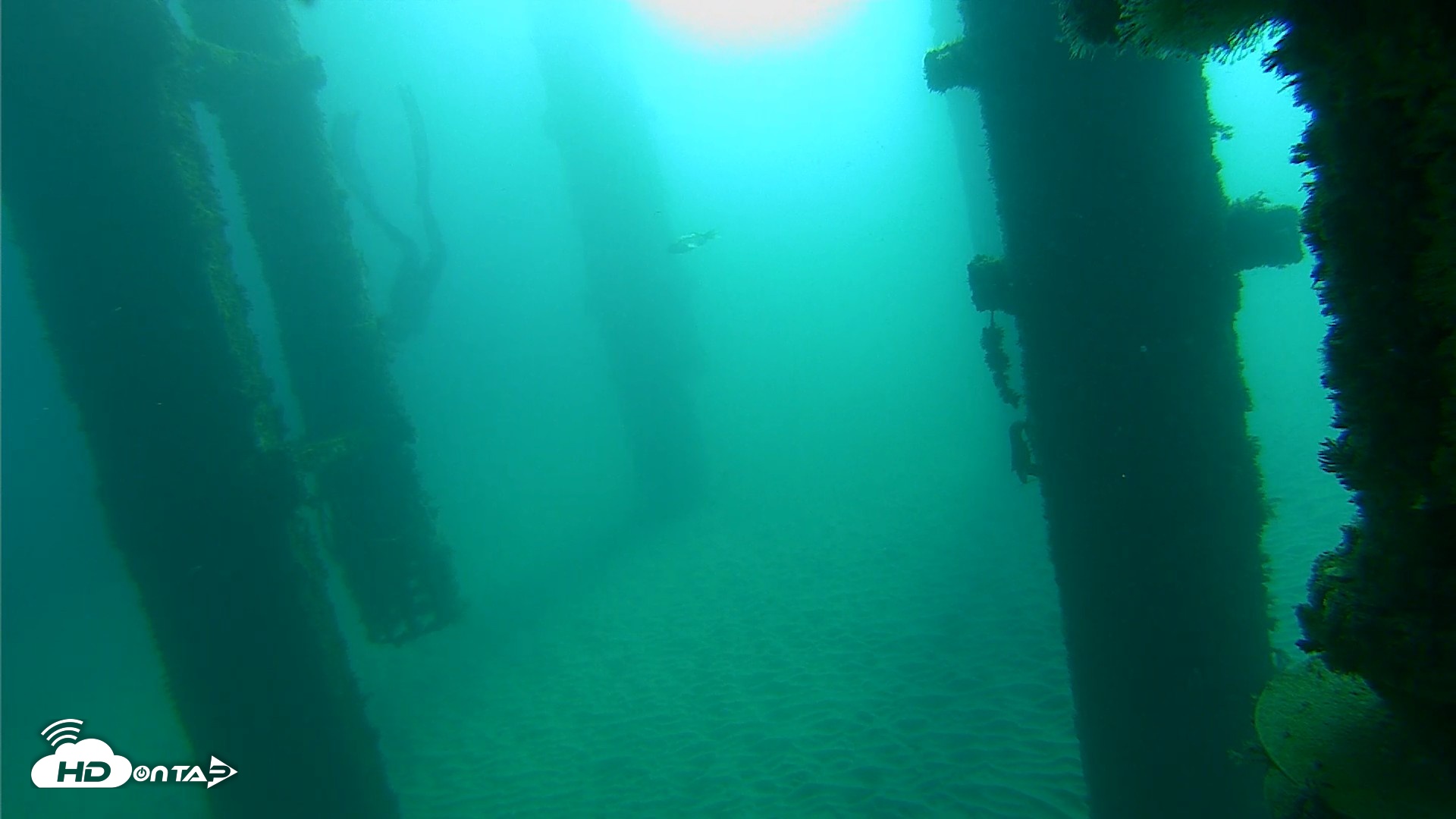 Snapshot of Scripps Pier Underwater Live Webcam taken Oct 20, 2026, 8:55am PDT