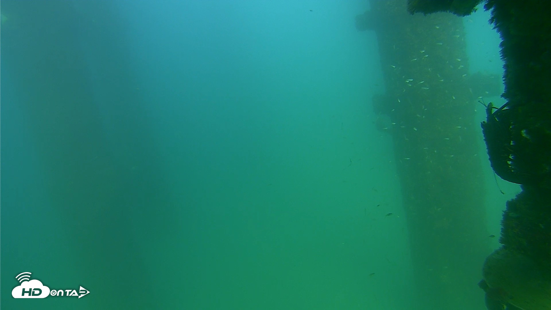 Snapshot of Scripps Pier Underwater Live Webcam taken Sep 18, 2026, 4:42pm PDT