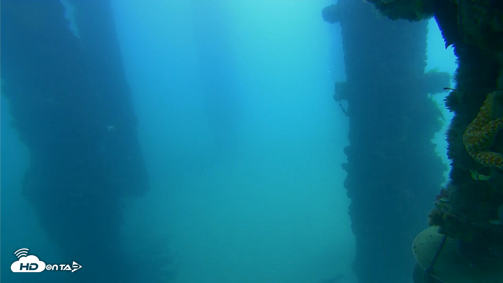 Snapshot of Scripps Pier Underwater Live Webcam taken Sep 27, 2025, 10:40am PDT