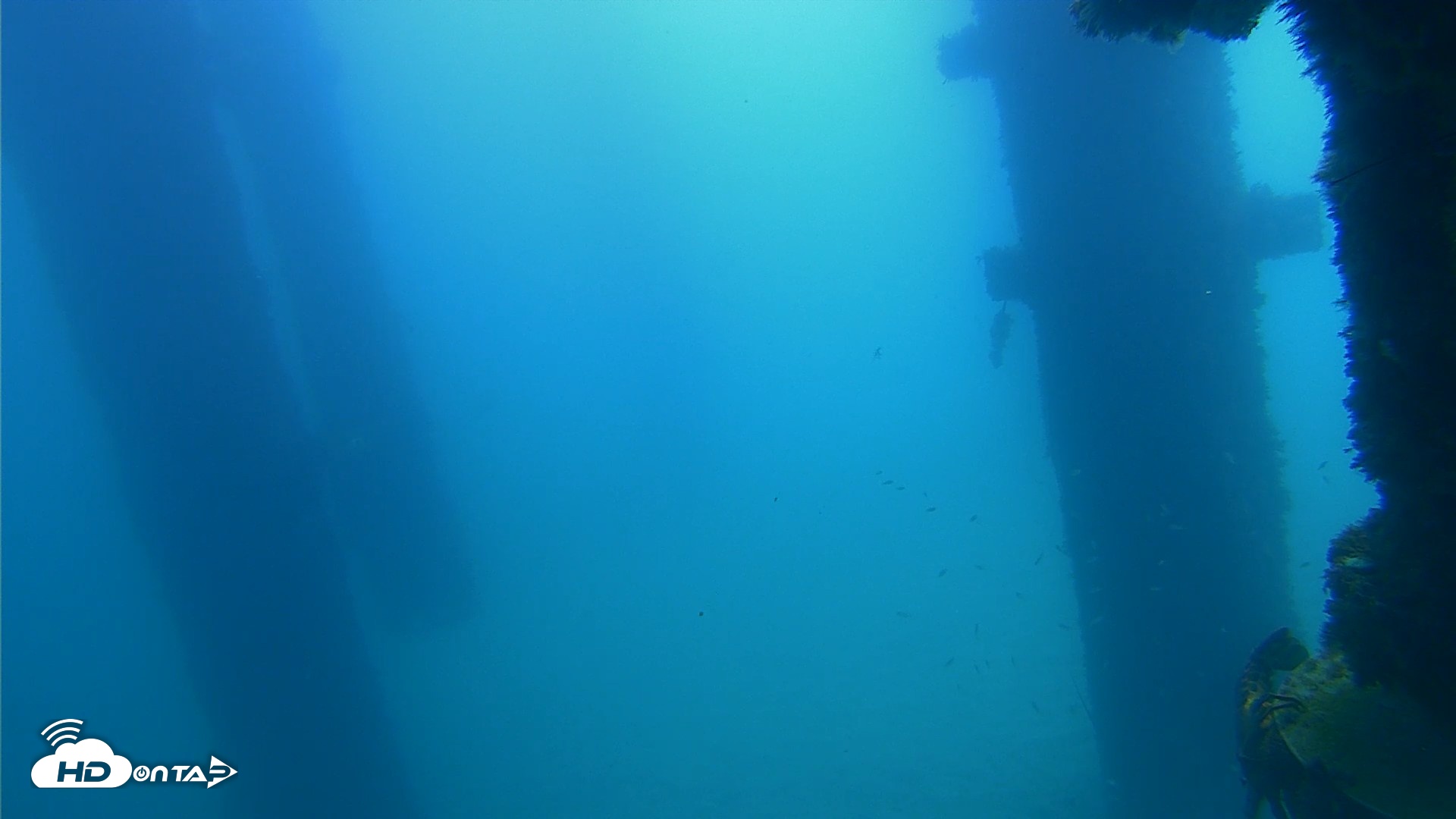 Snapshot of Scripps Pier Underwater Live Webcam taken Sep 21, 2026, 11:29am PDT