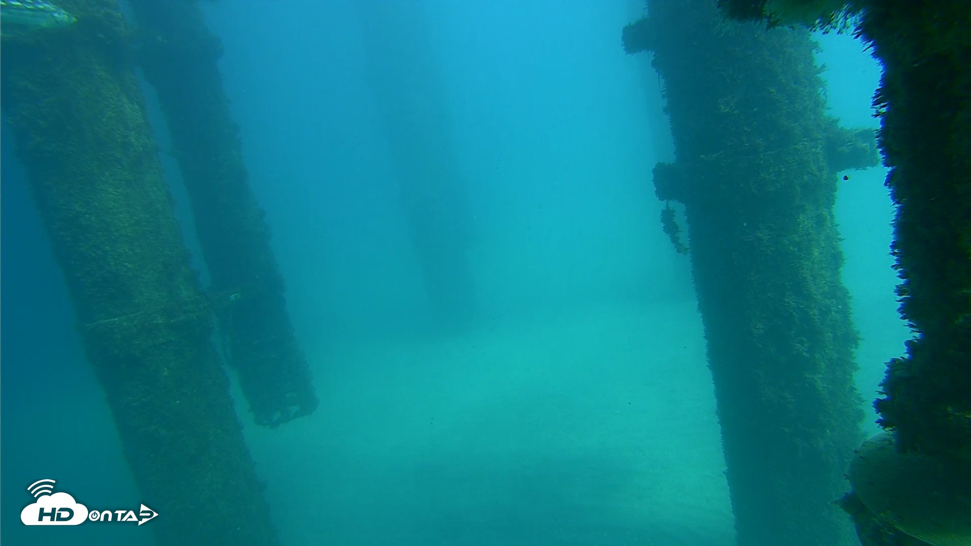 Snapshot of Scripps Pier Underwater Live Webcam taken Oct 16, 2026, 2:00pm PDT