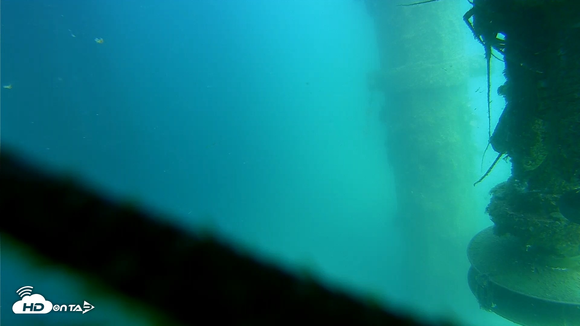 Snapshot of Scripps Pier Underwater Live Webcam taken Jul 16, 2026, 3:10pm PDT