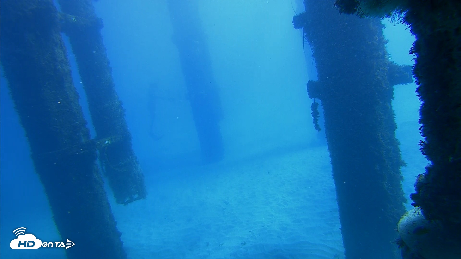 Snapshot of Scripps Pier Underwater Live Webcam taken Oct 19, 2026, 12:32pm PDT
