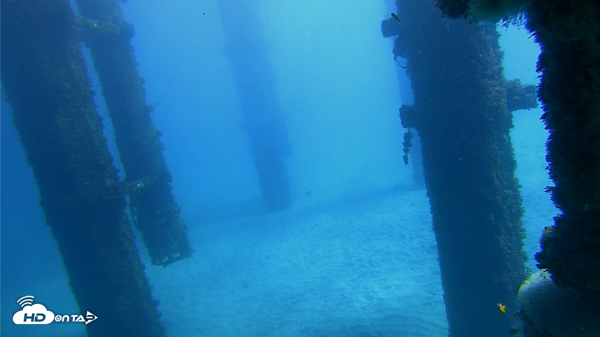 Snapshot of Scripps Pier Underwater Live Webcam taken Oct 19, 2026, 12:26pm PDT