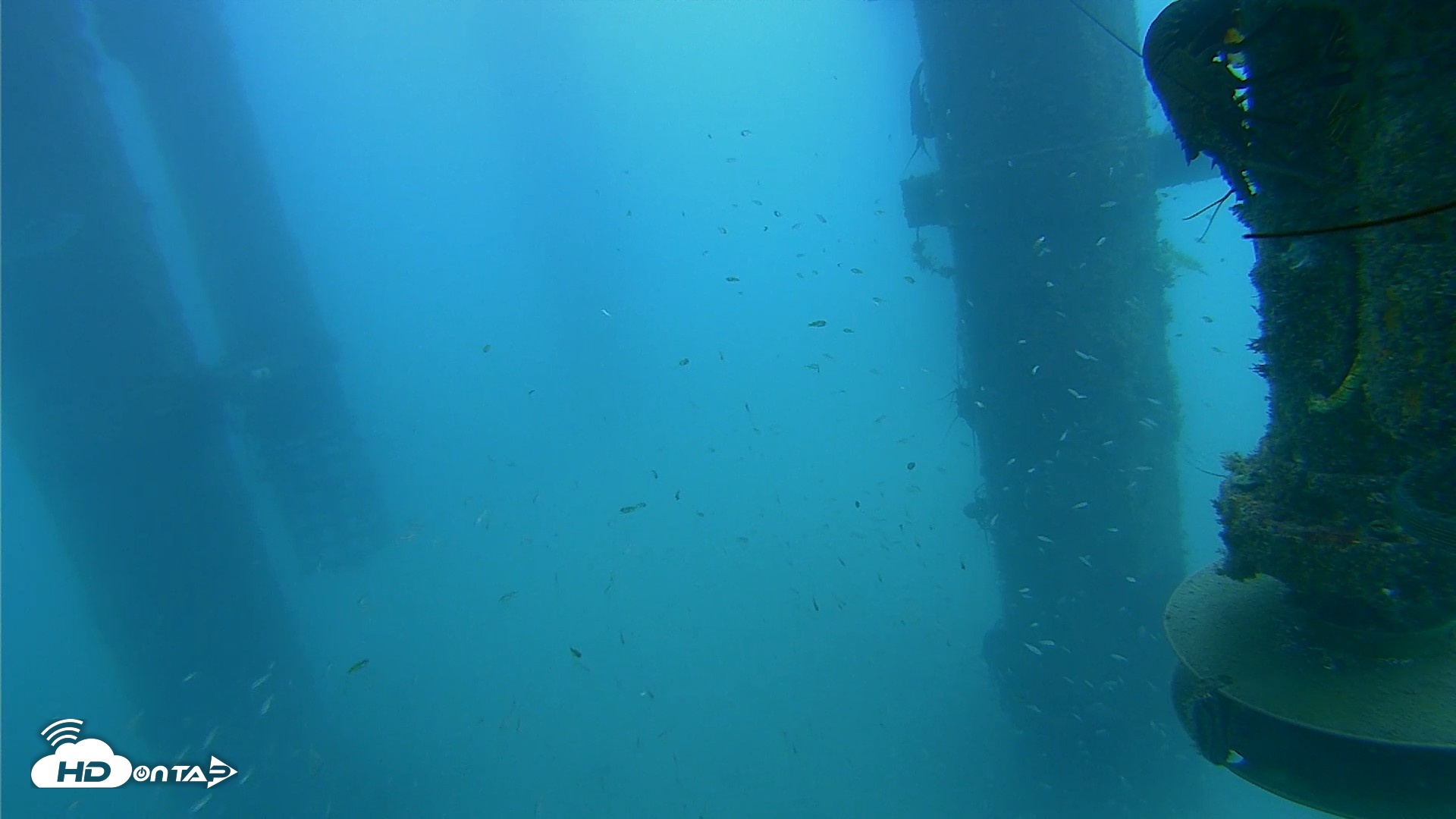 Snapshot of Scripps Pier Underwater Live Webcam taken Jul 31, 2026, 8:44am PDT