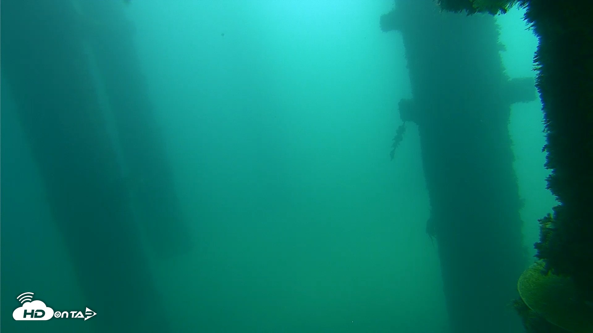 Snapshot of Scripps Pier Underwater Live Webcam taken Oct 12, 2026, 11:01am PDT