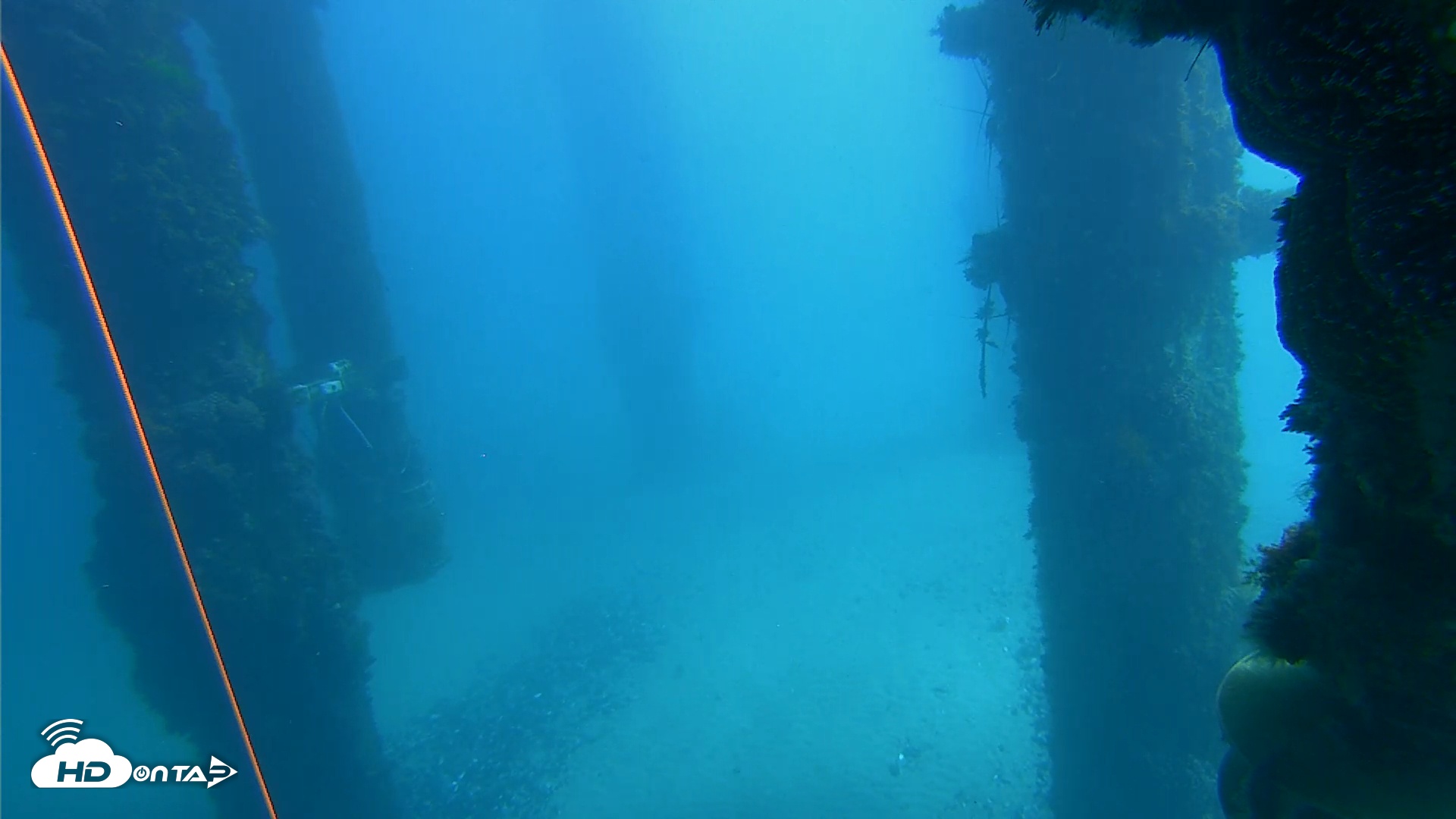 Snapshot of Scripps Pier Underwater Live Webcam taken Feb 8, 2026, 11:51am PST