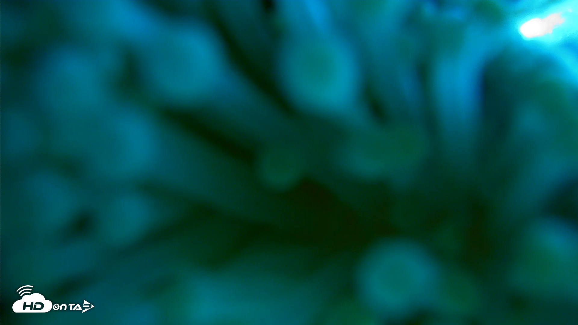 Snapshot of Scripps Pier Underwater Live Webcam taken Mar 22, 2026, 4:24pm PDT