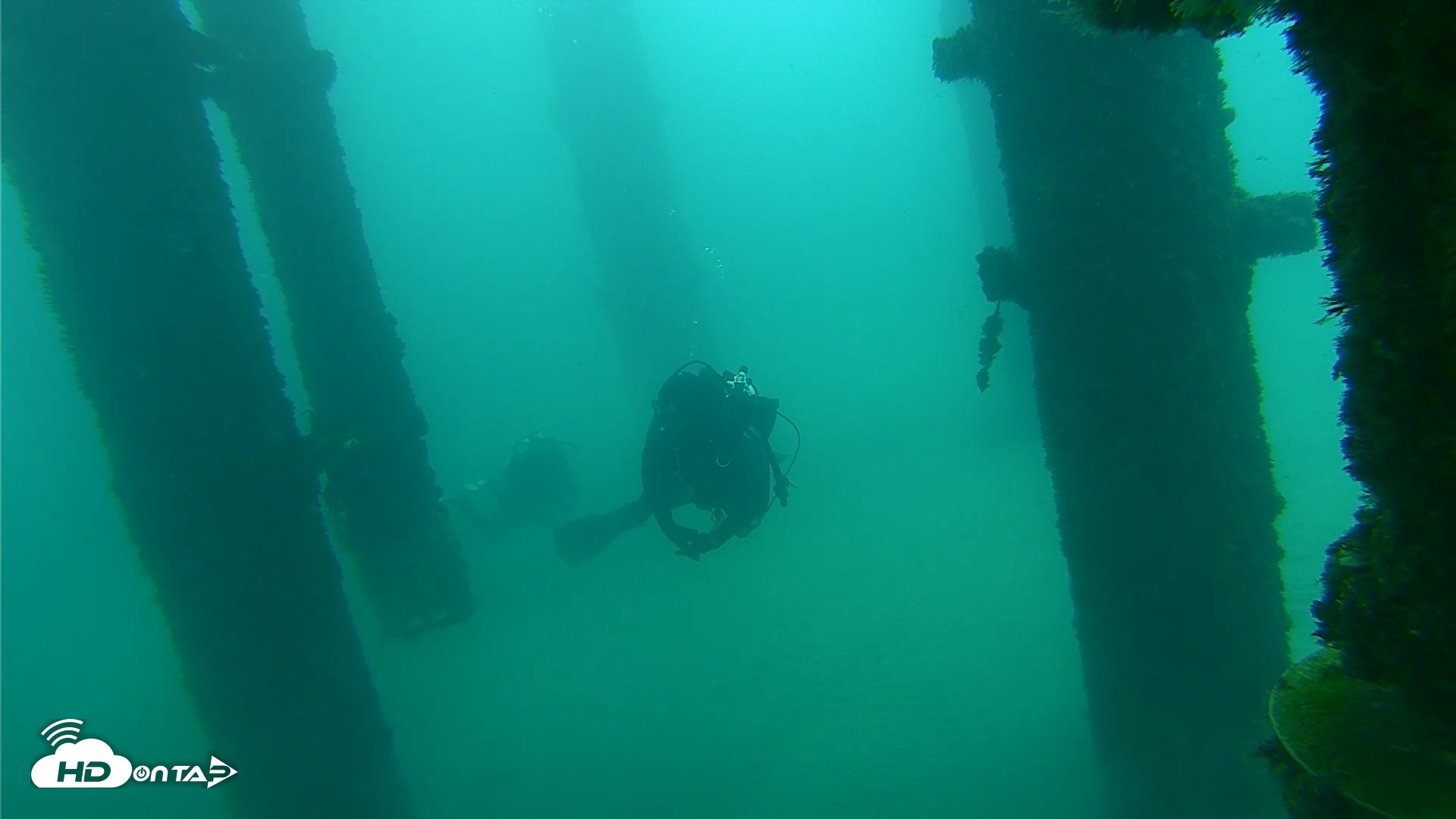 Snapshot of Scripps Pier Underwater Live Webcam taken Oct 8, 2026, 9:33am PDT