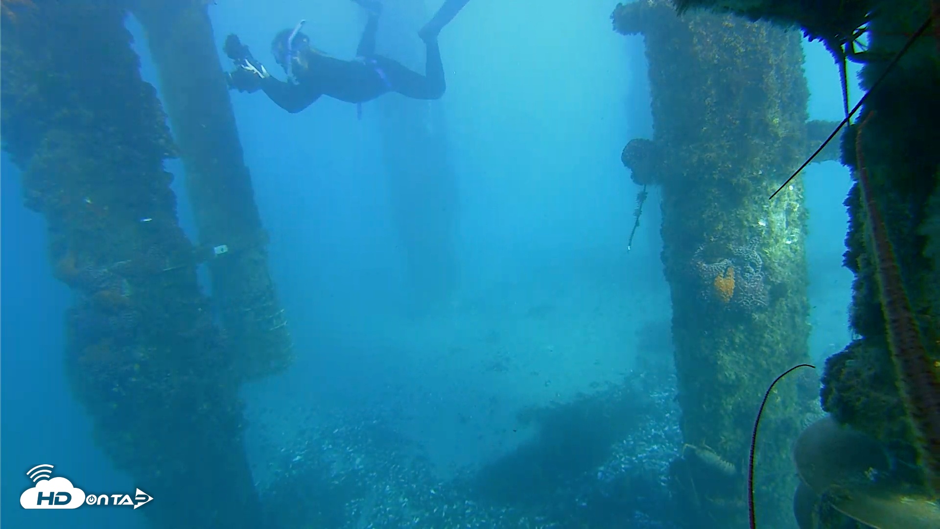 Snapshot of Scripps Pier Underwater Live Webcam taken Jan 17, 2026, 3:43pm PST