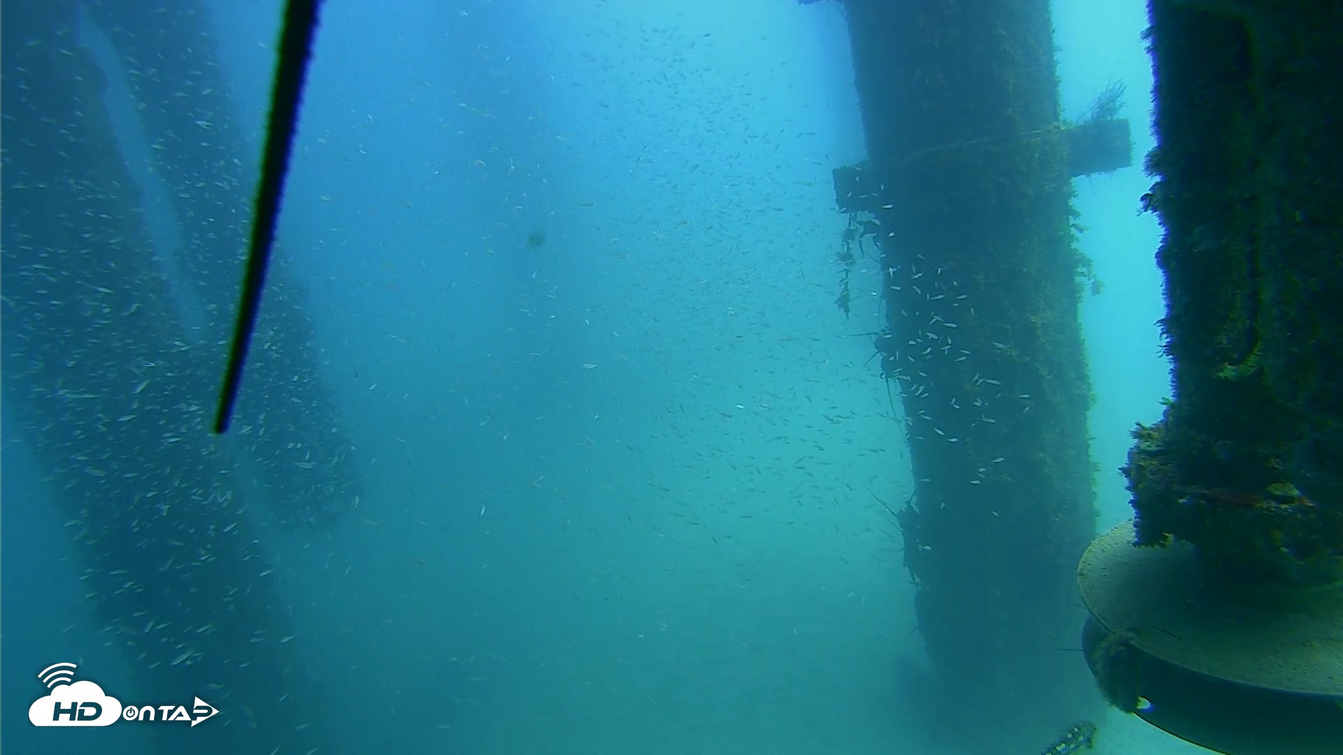 Snapshot of Scripps Pier Underwater Live Webcam taken Aug 5, 2026, 1:17pm PDT
