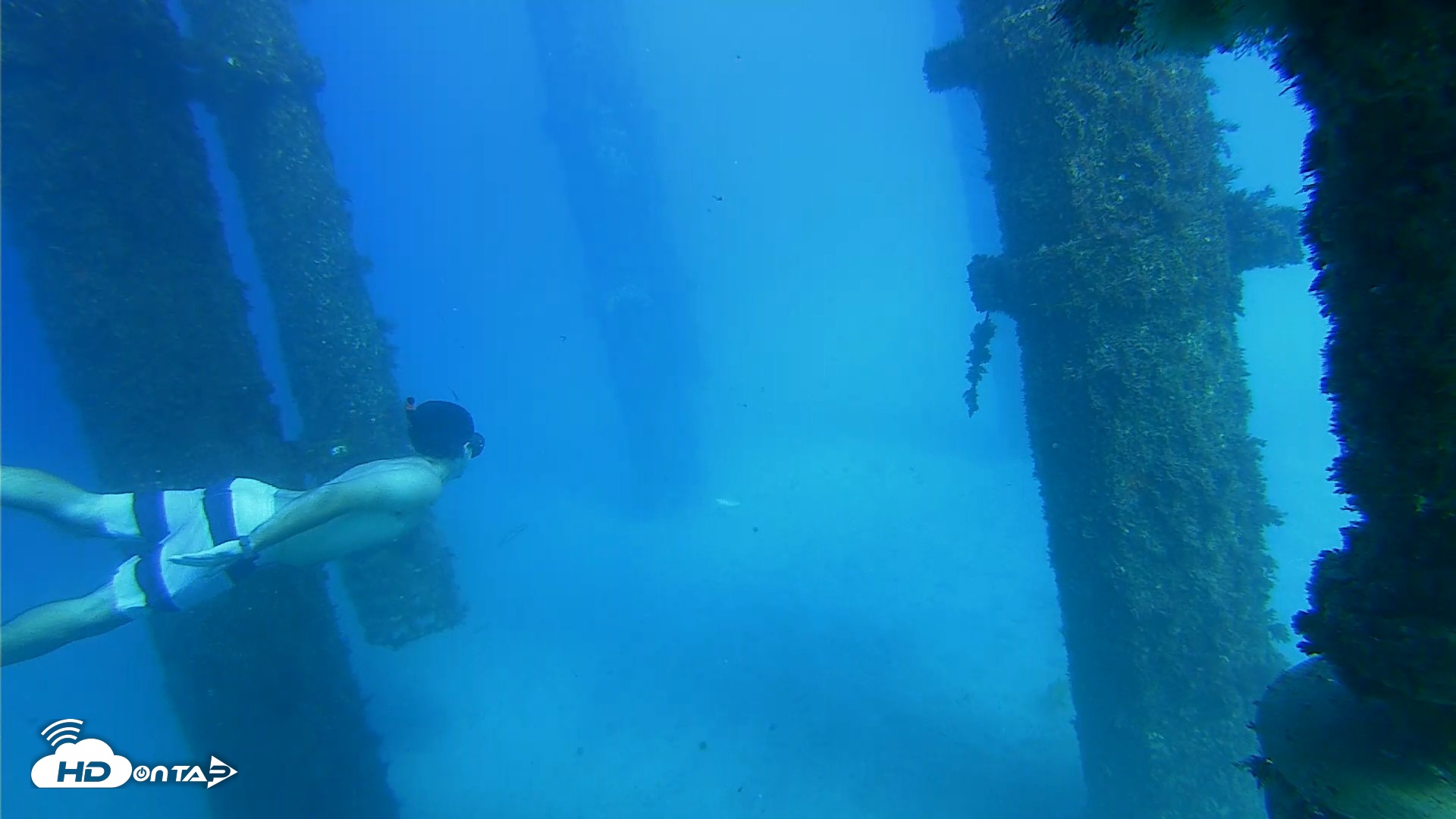 Snapshot of Scripps Pier Underwater Live Webcam taken Oct 19, 2026, 3:50pm PDT