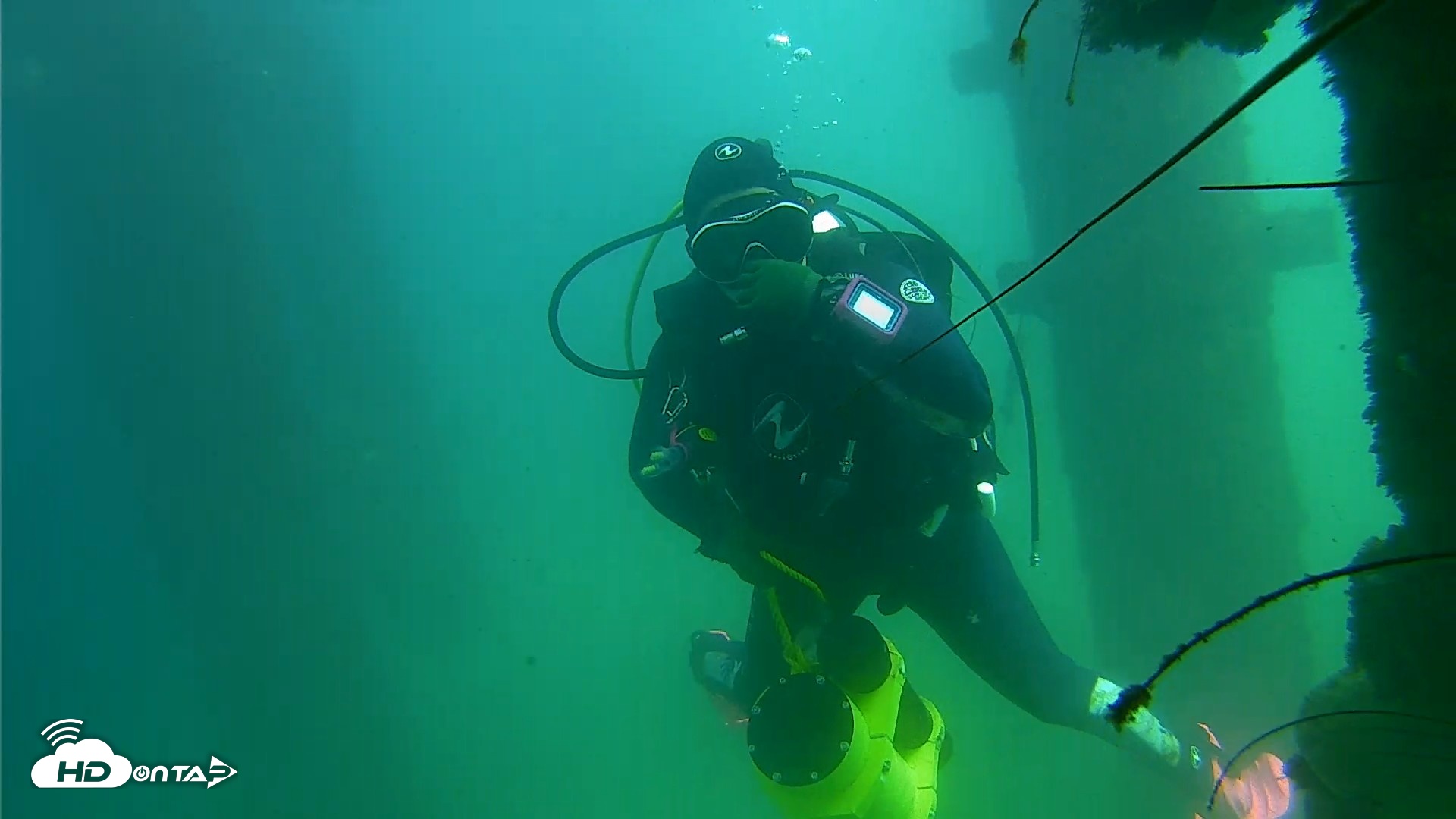 Snapshot of Scripps Pier Underwater Live Webcam taken Sep 18, 2026, 2:20pm PDT
