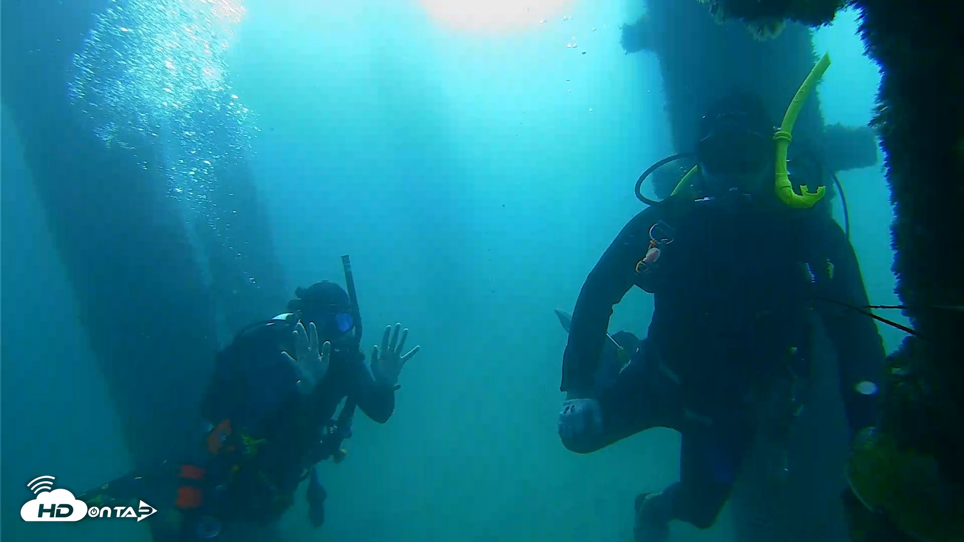 Snapshot of Scripps Pier Underwater Live Webcam taken Sep 28, 2026, 9:11am PDT