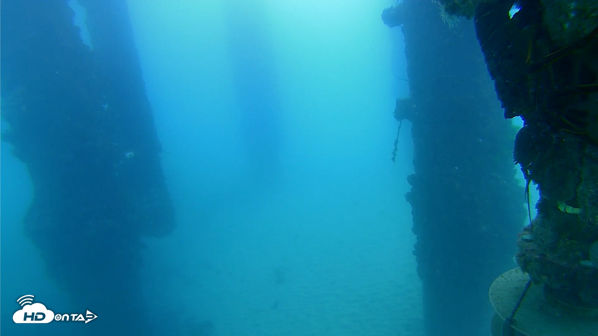 Snapshot of Scripps Pier Underwater Live Webcam taken Sep 10, 2025, 7:18am PDT