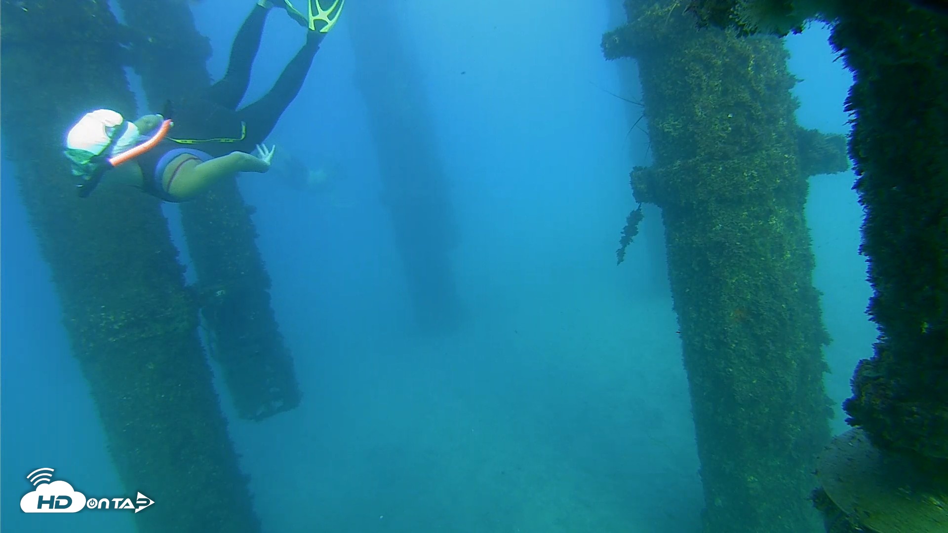 Snapshot of Scripps Pier Underwater Live Webcam taken Oct 19, 2026, 5:22pm PDT