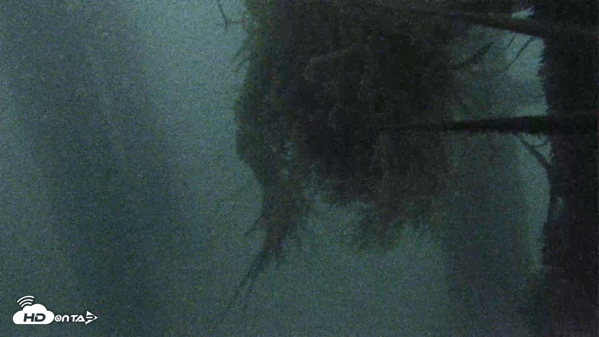 Snapshot of Scripps Pier Underwater Live Webcam taken Oct 4, 2026, 6:51pm PDT