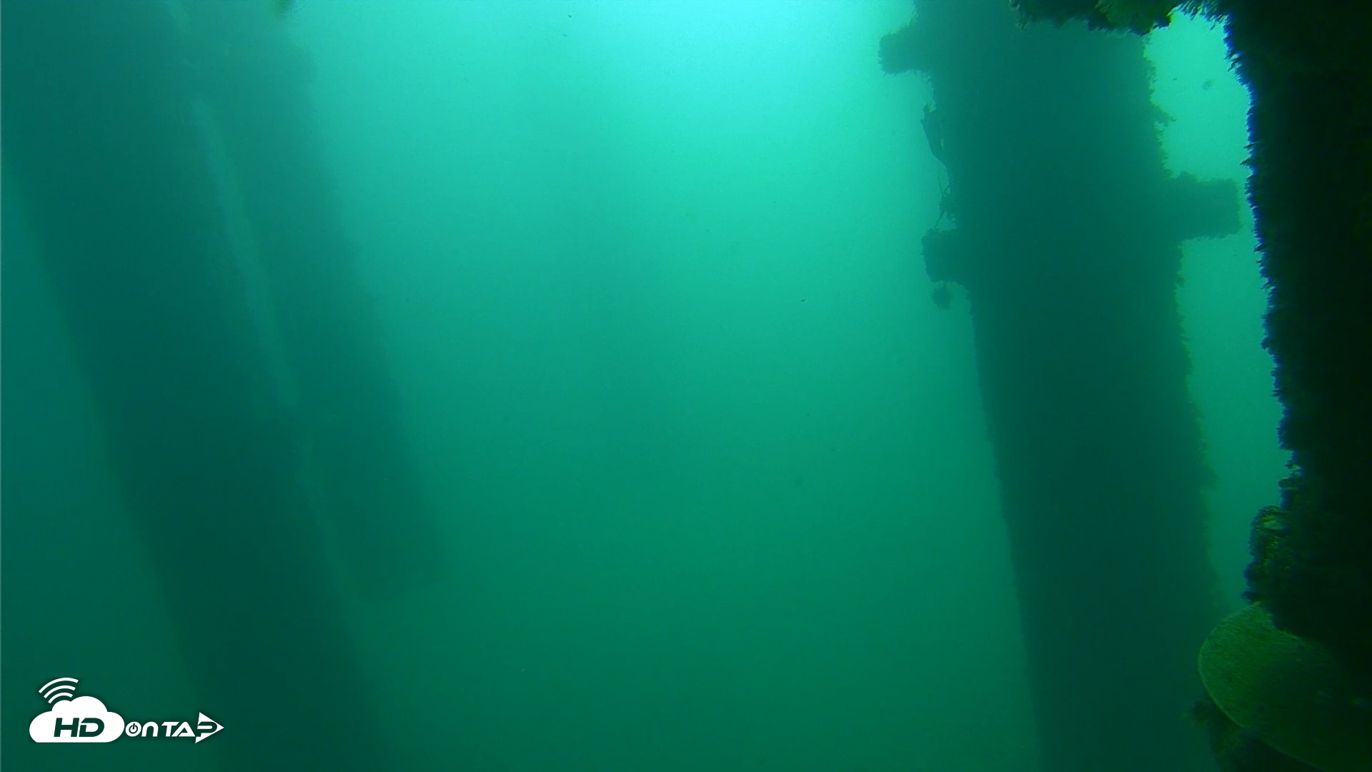 Snapshot of Scripps Pier Underwater Live Webcam taken Oct 13, 2026, 9:52am PDT