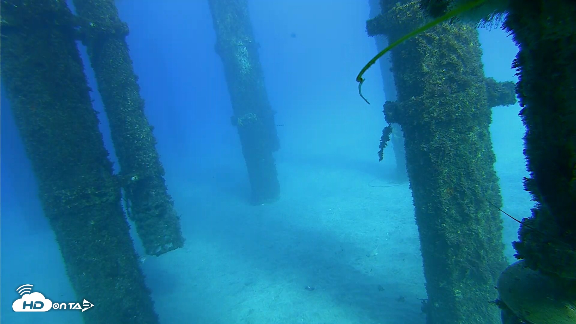 Snapshot of Scripps Pier Underwater Live Webcam taken Oct 18, 2026, 4:12pm PDT