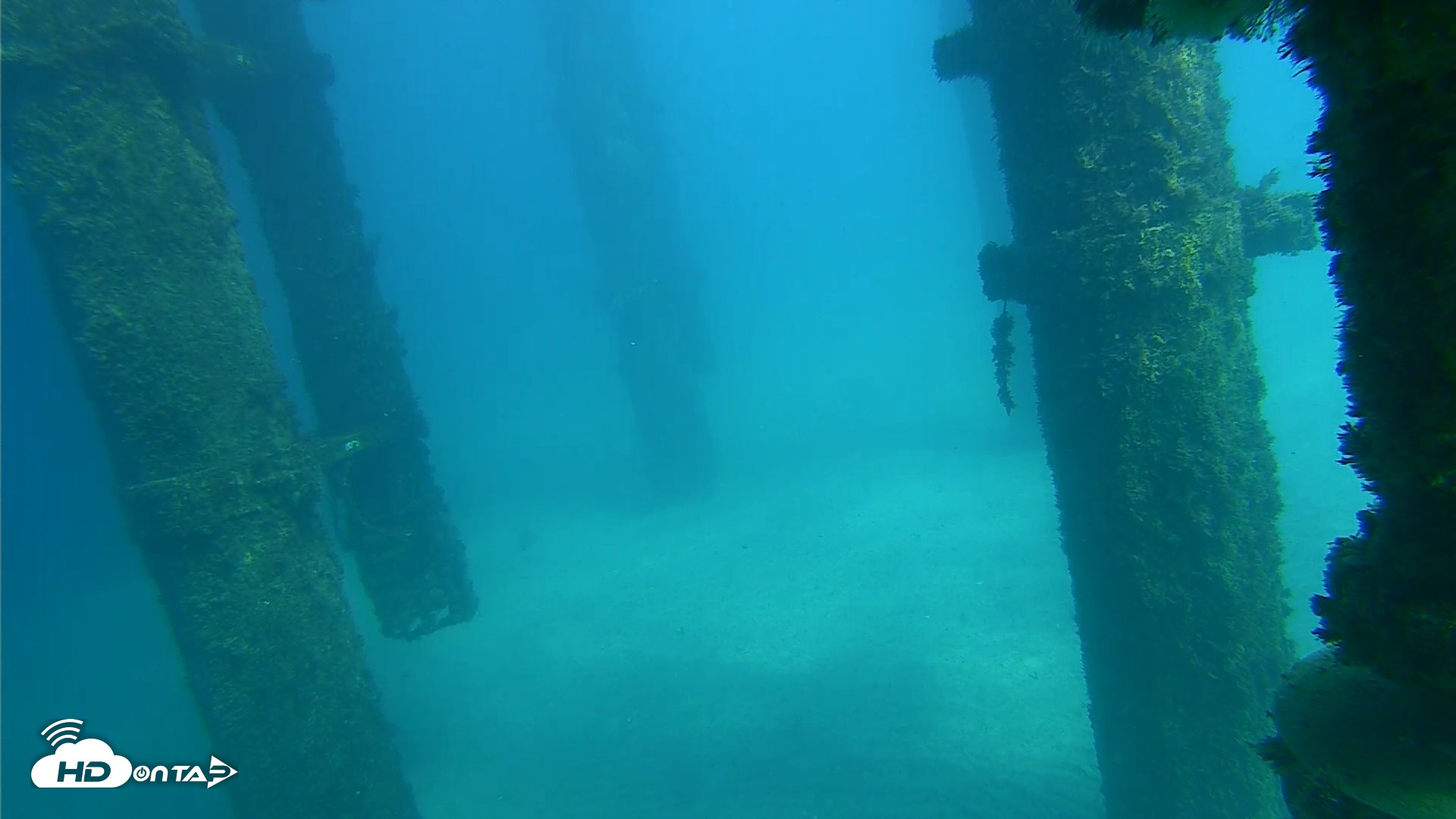 Snapshot of Scripps Pier Underwater Live Webcam taken Oct 16, 2026, 2:17pm PDT