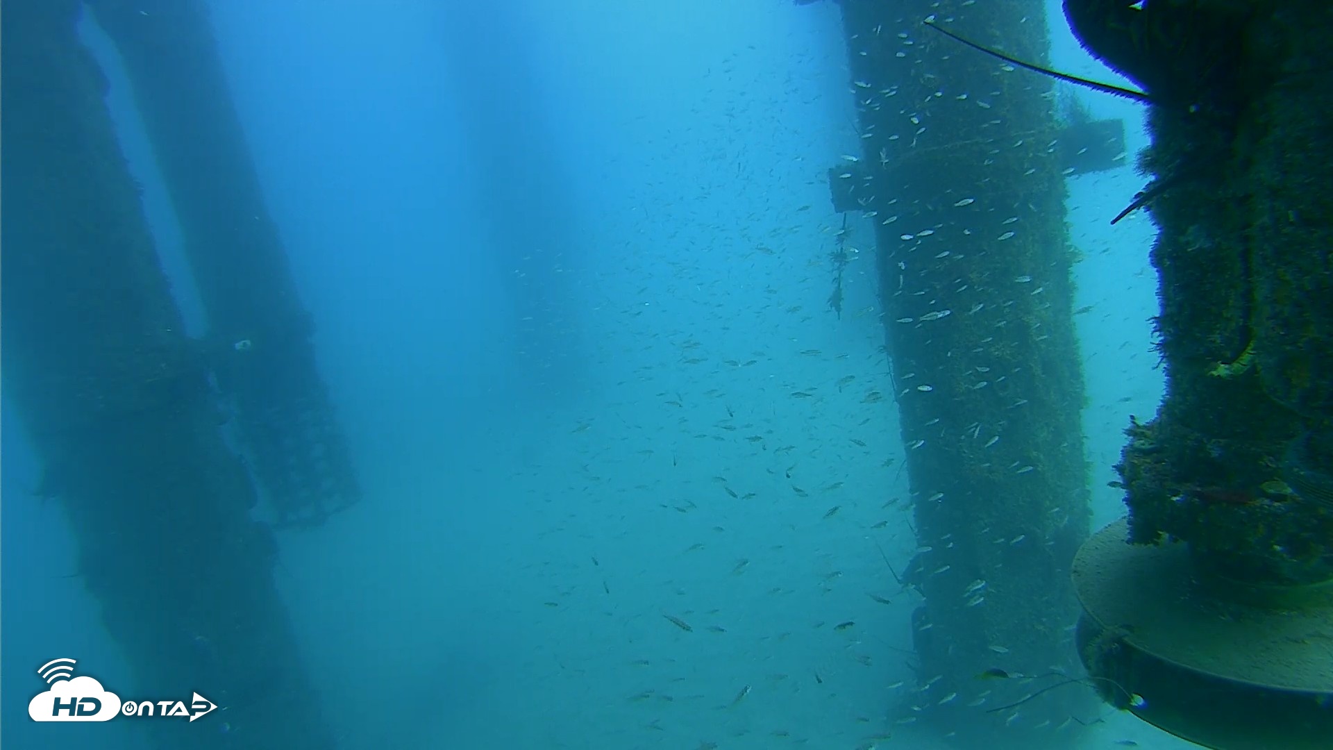 Snapshot of Scripps Pier Underwater Live Webcam taken Aug 5, 2026, 3:30pm PDT
