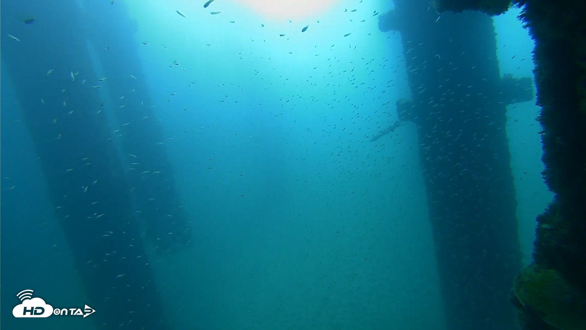 Snapshot of Scripps Pier Underwater Live Webcam taken Sep 25, 2026, 9:08am PDT