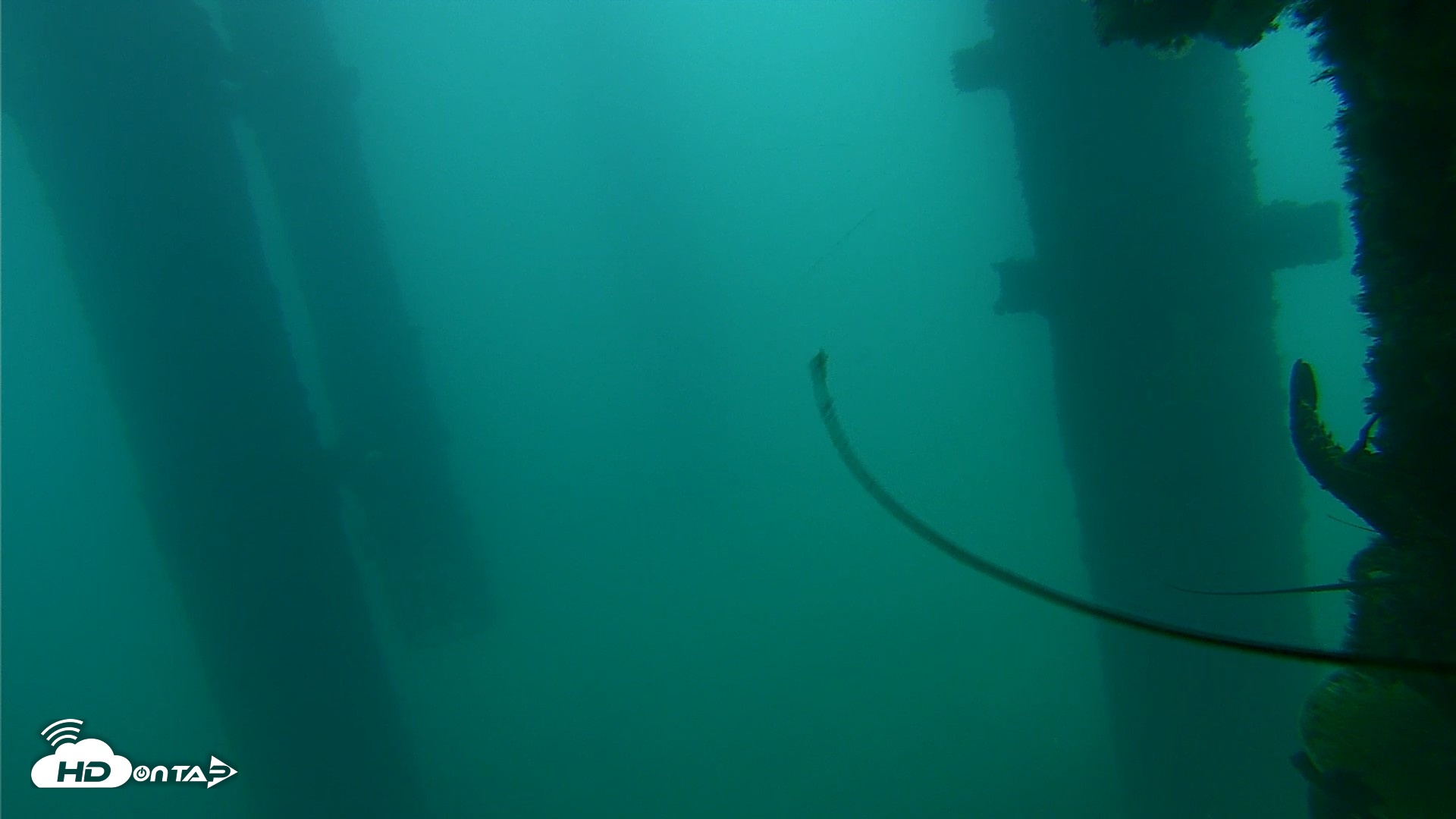 Snapshot of Scripps Pier Underwater Live Webcam taken Sep 16, 2026, 7:05am PDT
