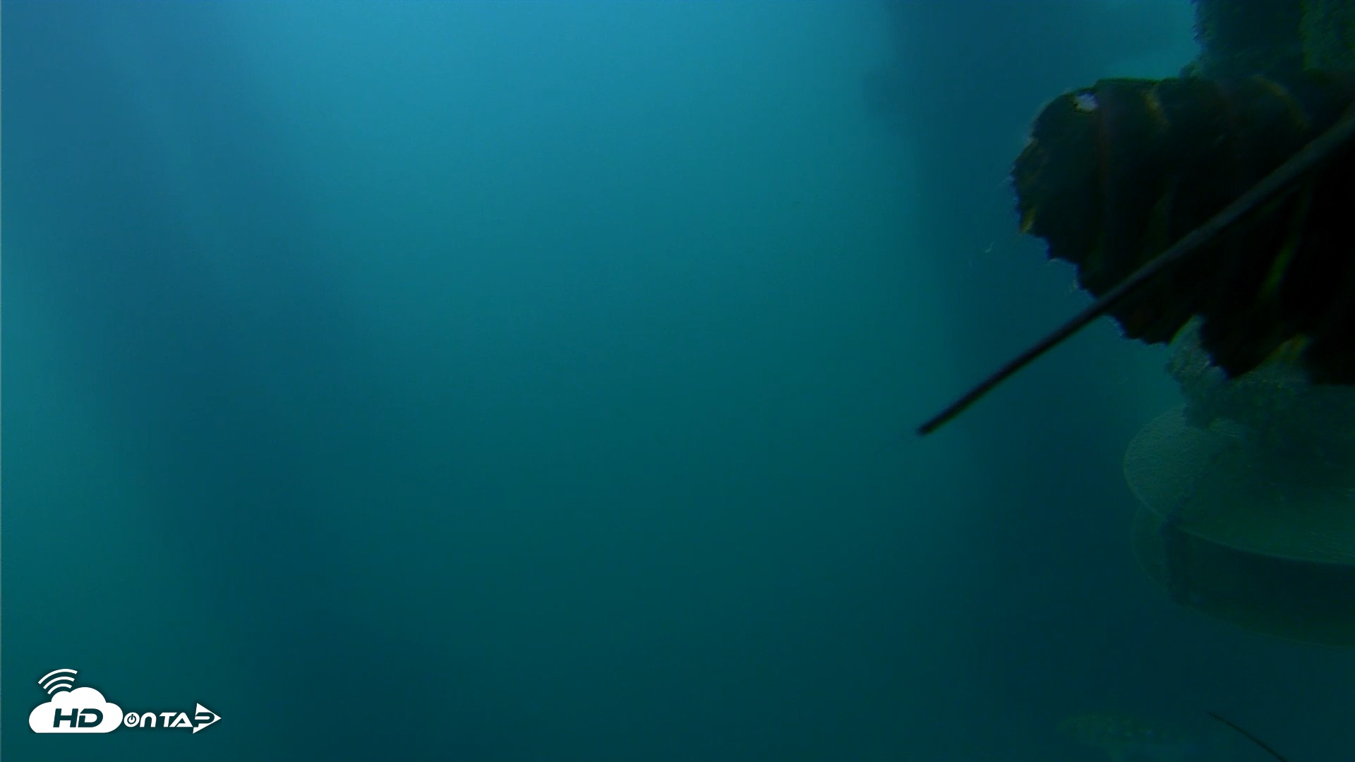 Snapshot of Scripps Pier Underwater Live Webcam taken Jul 15, 2026, 6:05am PDT