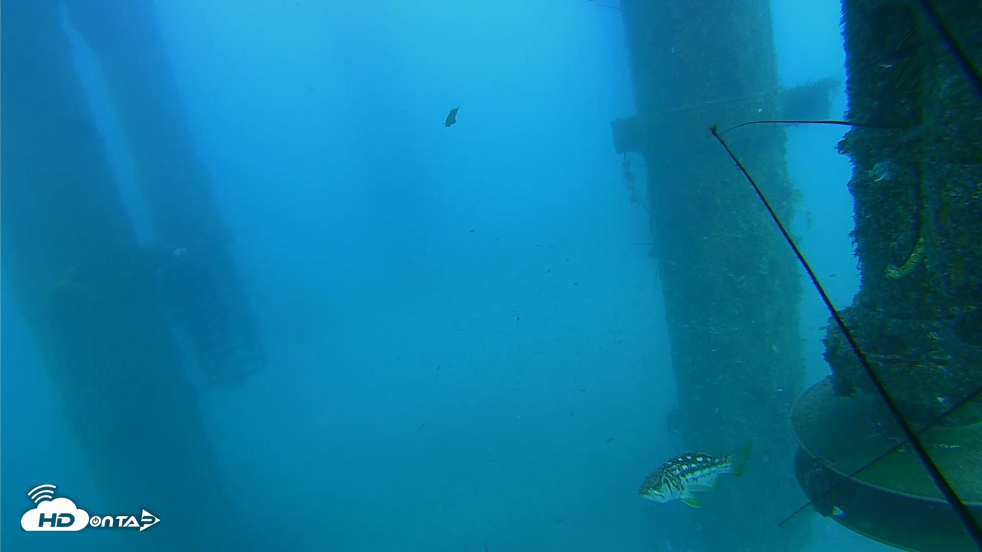 Snapshot of Scripps Pier Underwater Live Webcam taken Jul 30, 2026, 5:40pm PDT