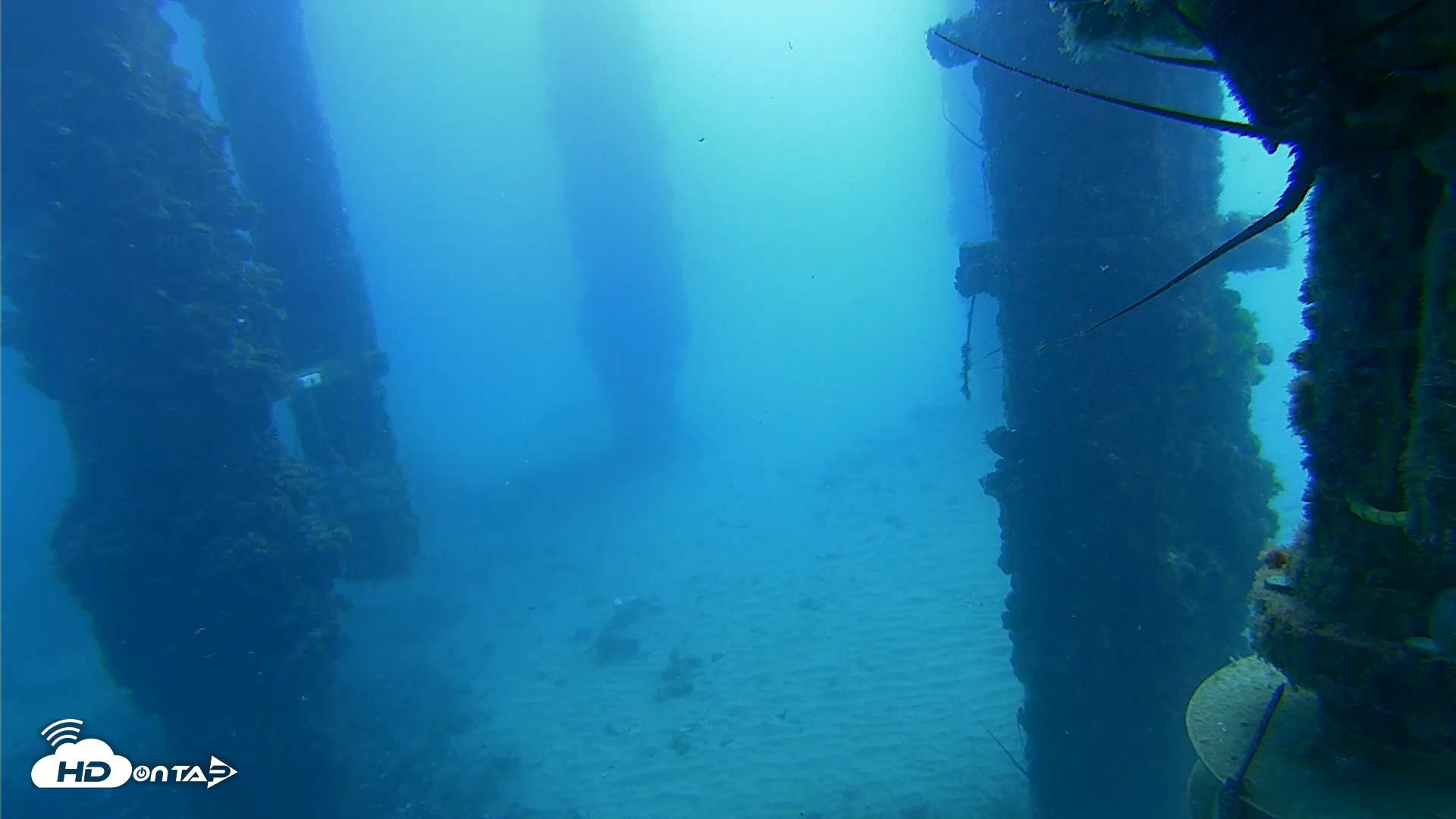 Snapshot of Scripps Pier Underwater Live Webcam taken Sep 2, 2025, 10:01am PDT