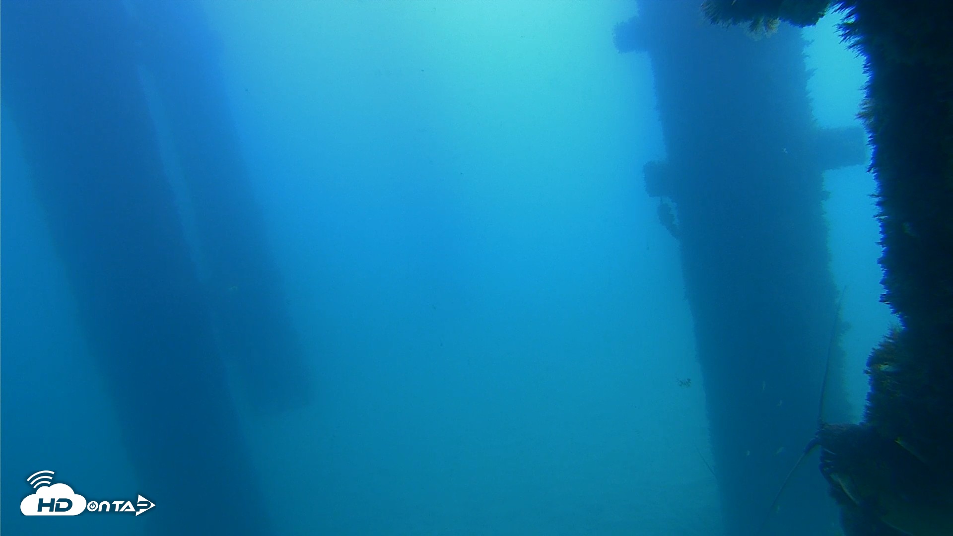 Snapshot of Scripps Pier Underwater Live Webcam taken Sep 21, 2026, 11:28am PDT