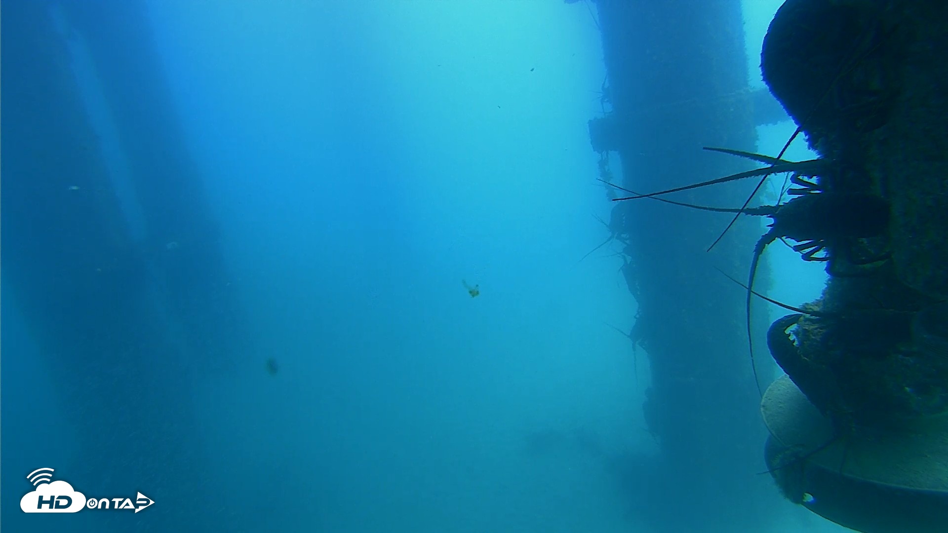 Snapshot of Scripps Pier Underwater Live Webcam taken Aug 4, 2026, 12:54pm PDT