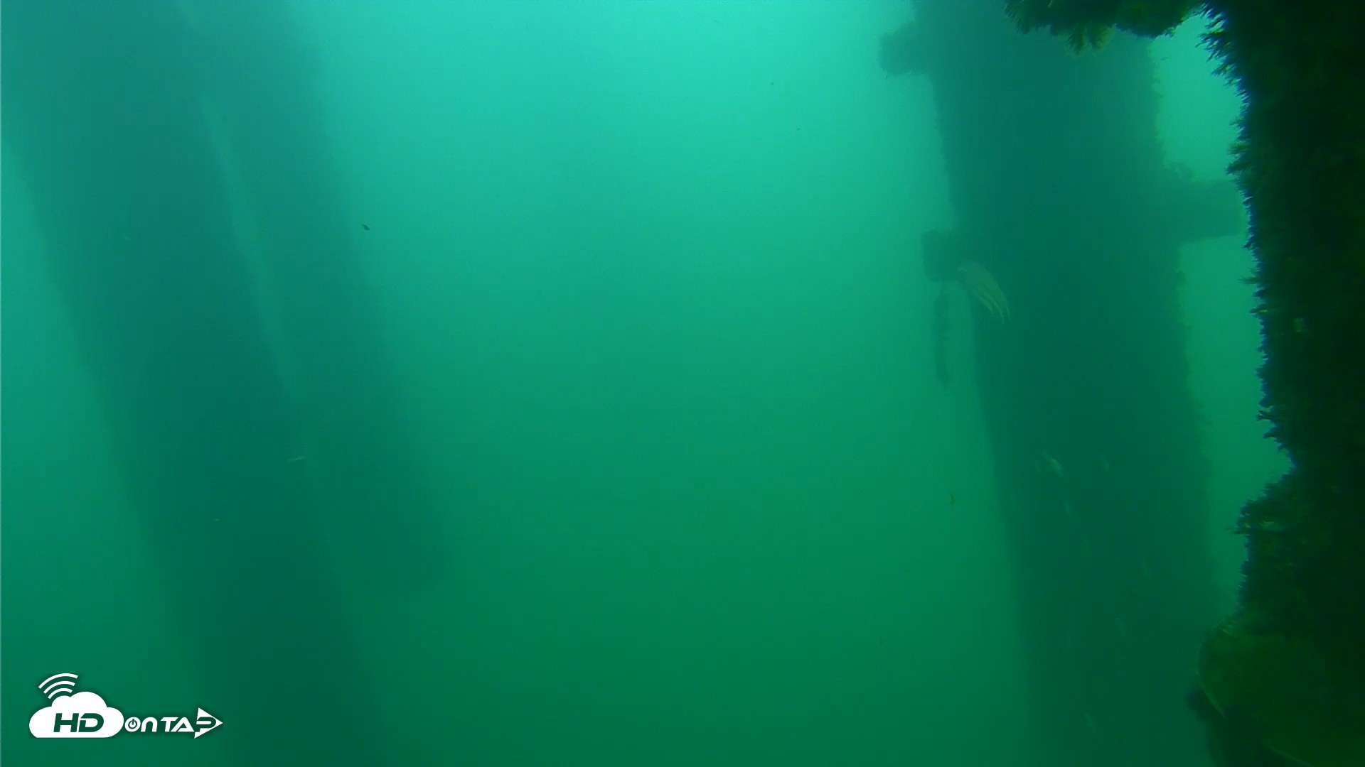 Snapshot of Scripps Pier Underwater Live Webcam taken Sep 24, 2026, 8:20am PDT
